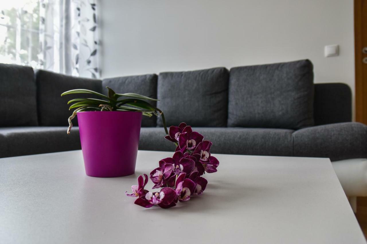 Mardi Downtown Apartment Tallinn Bagian luar foto